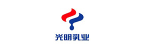 自動插件線